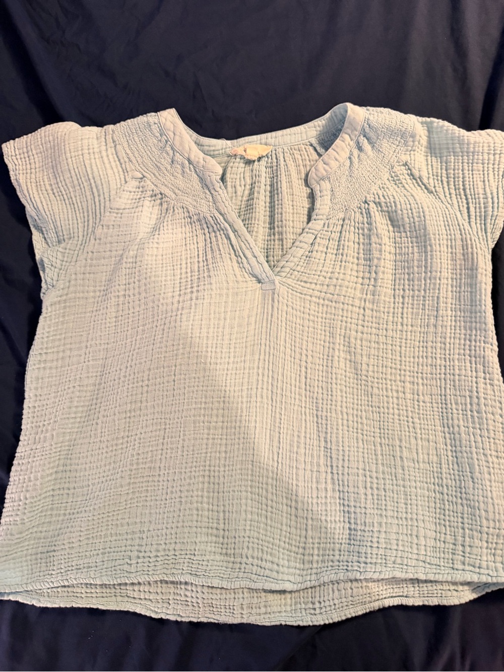Elan Light Blue Gauze V-Neck Short Sleeve Top
